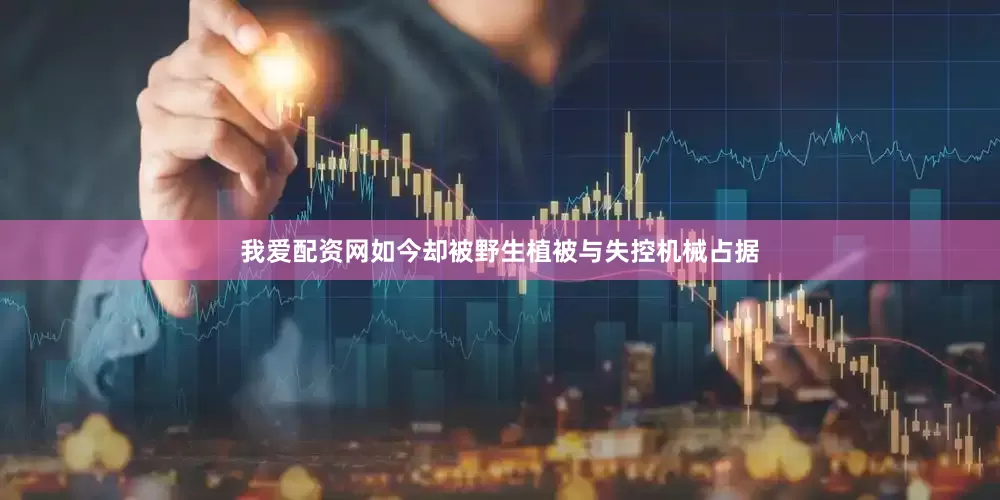我爱配资网如今却被野生植被与失控机械占据