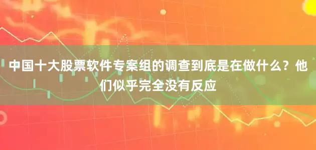 中国十大股票软件专案组的调查到底是在做什么？他们似乎完全没有反应