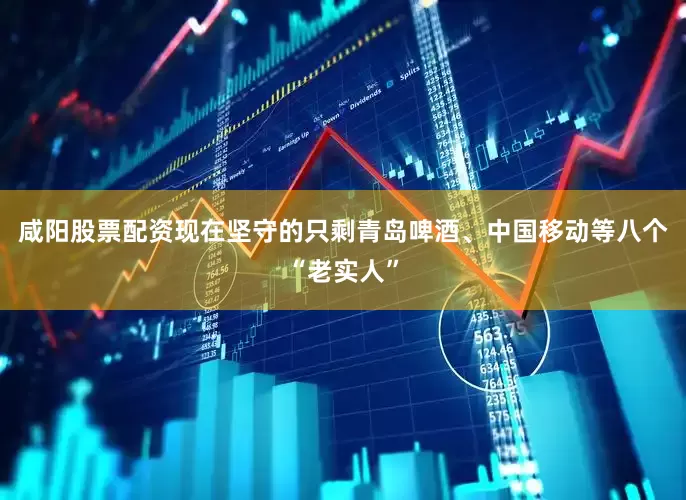 咸阳股票配资现在坚守的只剩青岛啤酒、中国移动等八个“老实人”