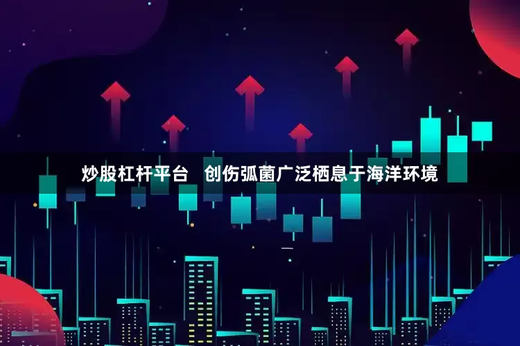 炒股杠杆平台   创伤弧菌广泛栖息于海洋环境