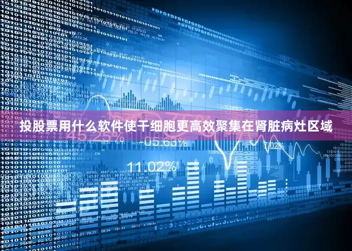 投股票用什么软件使干细胞更高效聚集在肾脏病灶区域