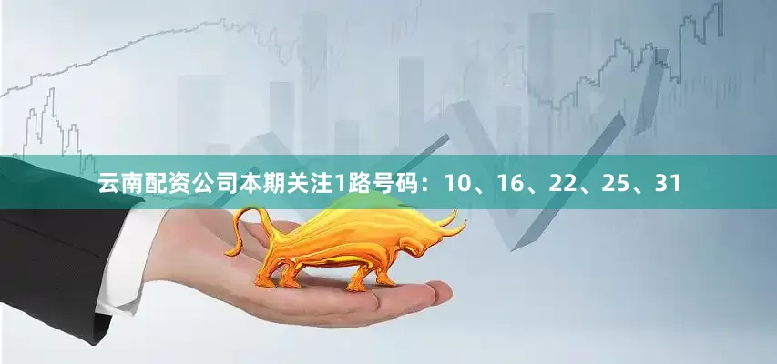云南配资公司本期关注1路号码：10、16、22、25、31